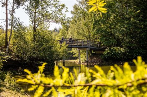 De Natuur Rondom Tilburg Staat Onder Druk Pvda En Groenlinks Stellen