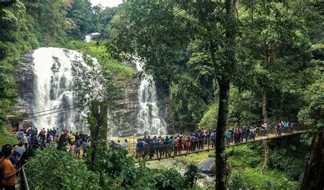 surrounded   land  coffee  spices  waterfall  coorg