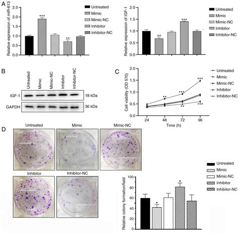 Mir Inhibits The Proliferation Of Human Ovarian Granulosa Cells By