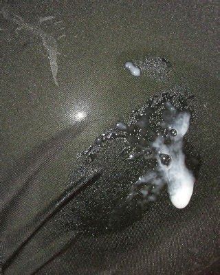 Cum On Pantys And Pantyhose Porn Pictures XXX Photos Sex Images 355742 PICTOA