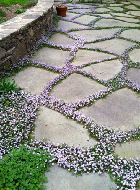 Unbelievable Garden Path And Walkway Ideas Garden Walkway