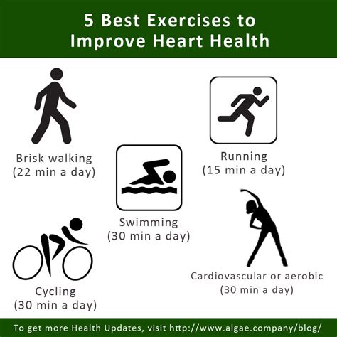 17 List Of Great Heart Healthy Exercise At Gym Go Workout Routine