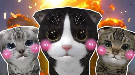 Warrior Cats Simulator Game