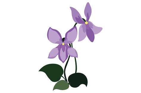 Rhode Island State Flower - Viola SVG Cut file by Creative Fabrica