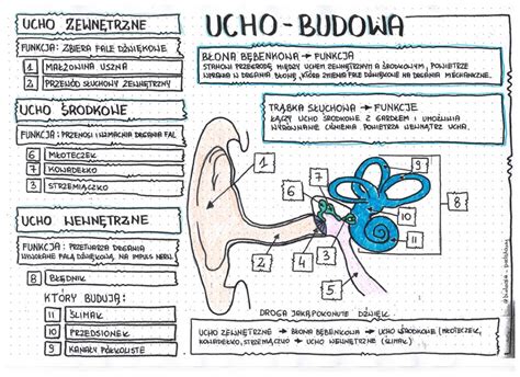 Co To Jest Notatka Graficzna