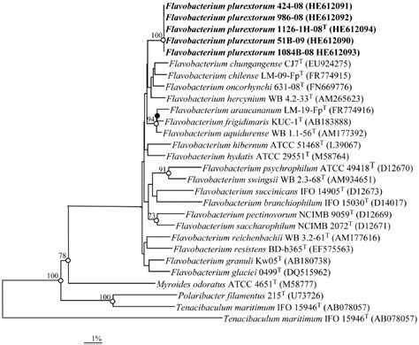 Phylogenetic tree based on 16S rRNA gene sequence comparisons, obtained ...