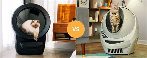 Litter Robot 3 Vs 4 Is The Upgrade Worth It