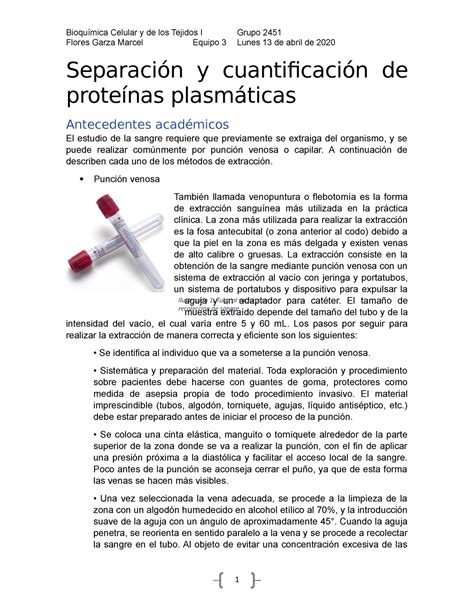 Antecedentes De La Pr Ctica De Separaci N Y Cuantificaci N De Prote Nas