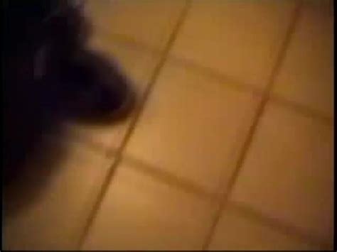 Sex Around The World Sweden 2 2002 By Nasty Pixxx HotMovies