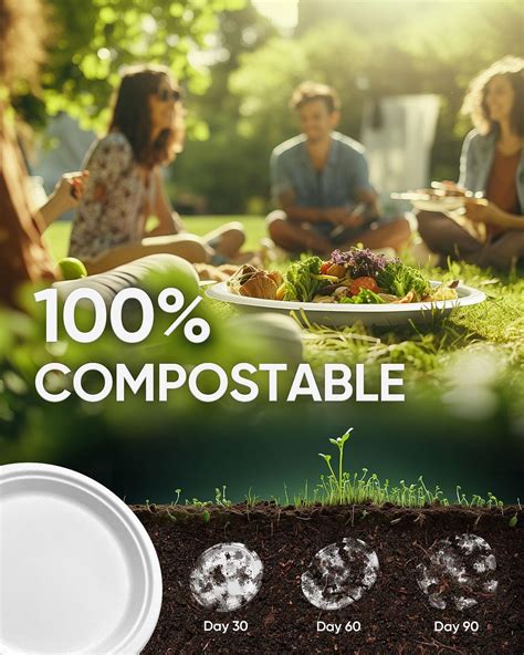 Hihomry Platos De Papel Compostables De Pulgadas A Granel Platos