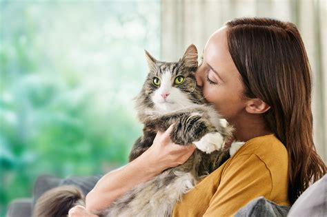 New Survey Shows Cat Owners with Cat Allergen Sensitivities Go to