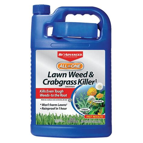 Bioadvanced 1 Gal Concentrate All In One Lawn Weed And Crabgrass Killer 704190a The Home Depot