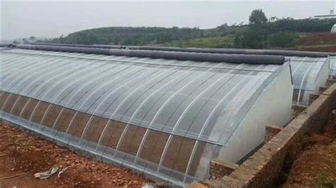 Chinese Solar Greenhouse Double Arch Galvanized Steel Structure Waterproof Warm Quilt Cold