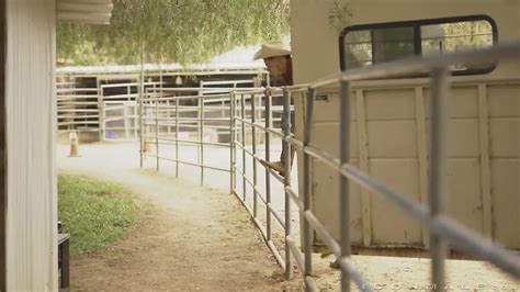 Free Painful Bareback Gay Porn Videos XHamster