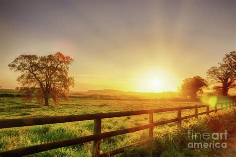 Rural sunrise over fenced field Photograph by Simon Bratt Photography LRPS