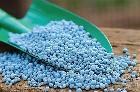 Болезни растений - agrotevi.ru