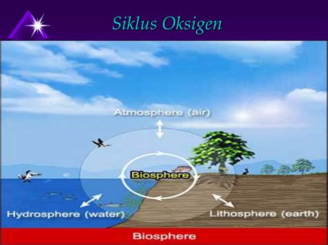 Siklus Oksigen Dan Pencemaran Ppt