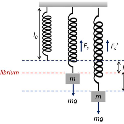 Vertical Spring Mass System Download Scientific Diagram