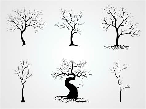 Black Branch Tree Or Naked Trees Silhouettes Set Hand Drawn Isolated Illustrations 23633809