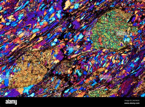 Polarised Light Micrograph Of A Thin Section Of Mica Schist A Type Of