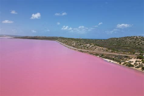 Pink Lake Locations | Western Australia | Pink Lake Road Trips