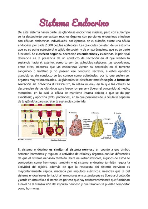 Sistema Endocrino Ross Histología Texto Y Atlas Sistem Endocrin