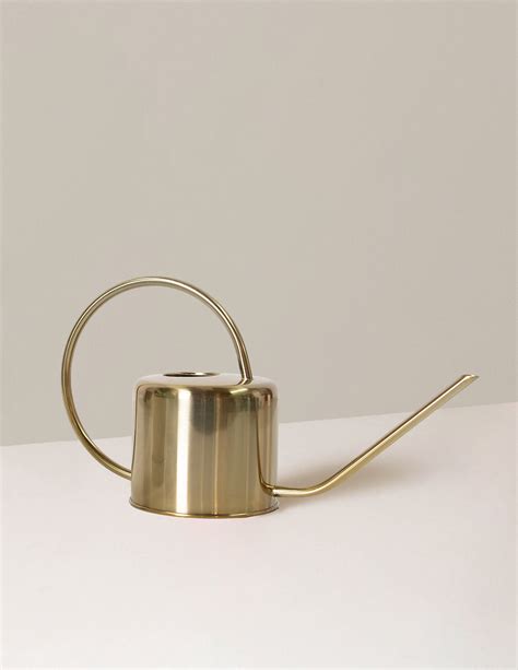 Metal Watering Can Houseplants And Ts For Delivery The Sill