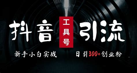 2024最新抖音工具号引流玩法，高效日引300创业粉，当天变现5k，小白也可成为实战高手 资源之家