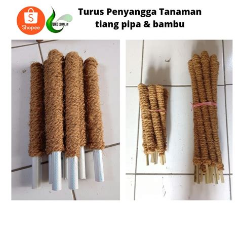 Jual Turus Pipa Ulir 25 40 60 80 100 Cm Turus Sabut Kelapa Penyangga