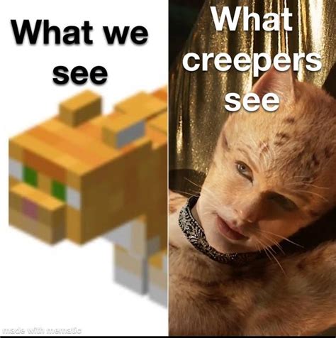 Don T Know If This Has Been Put On Here Yet R Minecraftmemes Minecraft Know Your Meme