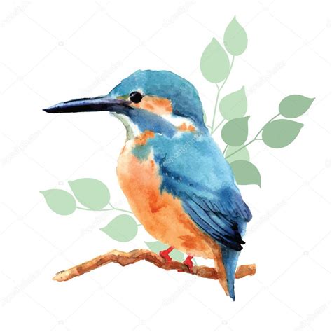 Hand Drawn Watercolor Bird Stock Vector Image By Radhanamini