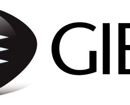 gibb successfully completes  phase   lagos rail mass transit