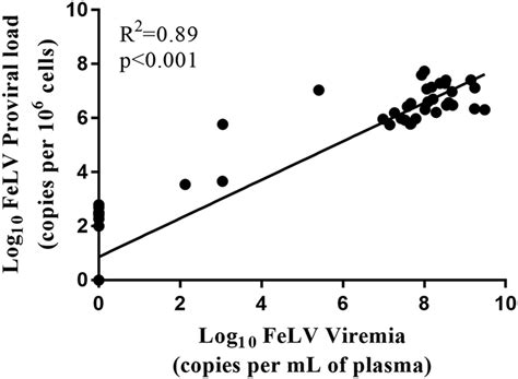 Feline Leukemia Virus (FeLV) Disease Outcomes in a Domestic Cat ...