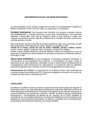 Macromorfologia De Las Cepas Bacterianas Trabajo Colaborativo Pdf