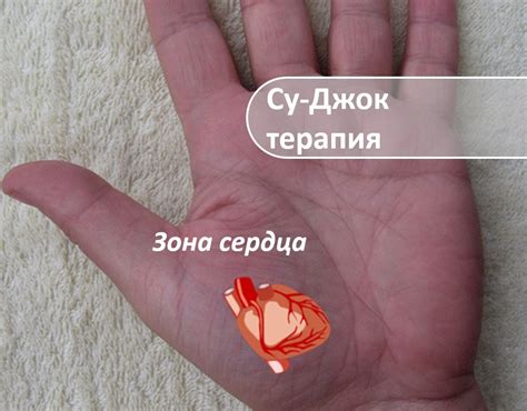 Су-Джок терапия для домашнего использования у детей и взрослых. Можно ...
