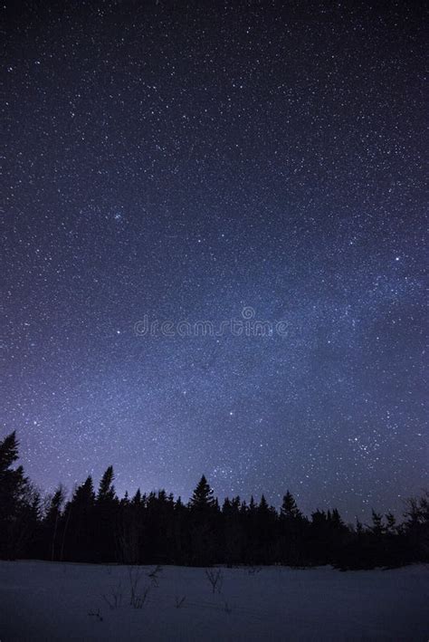 Night Sky In Perce Quebec Stock Image Image Of Spruce 132749901