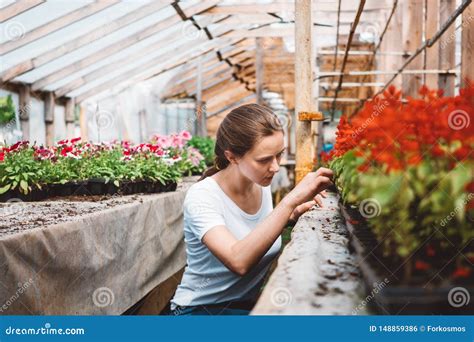 Agr Nomo De La Mujer Joven Que Examina Las Plantas En Invernadero Foto