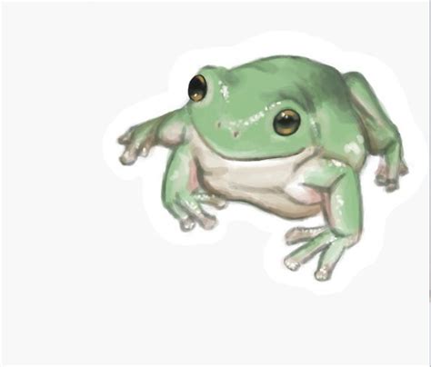 White Tree Frog Drawing Cute Amphibian Art