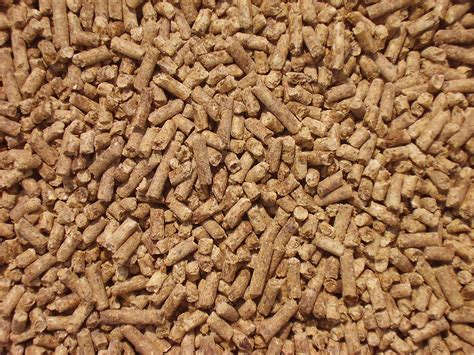 Premium Feed: Beef | Buchheit Agri