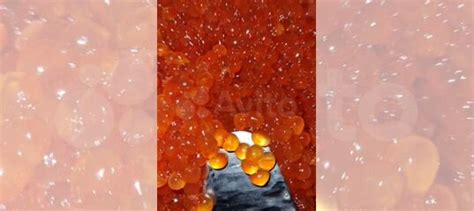 Икра красная купить в Ижевске | Товары для дома и дачи | Авито