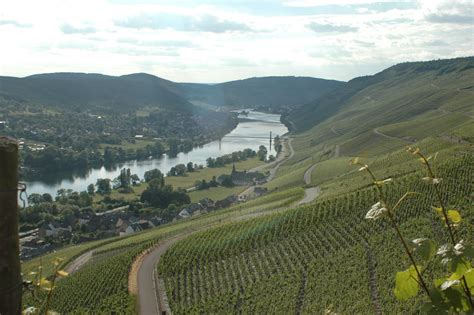 S.A. Prum Solitar Riesling Trocken 2021 | Wine.com