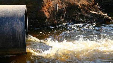 Significado De Sonhar Rio Cheio E água Suja Interpretação Dos