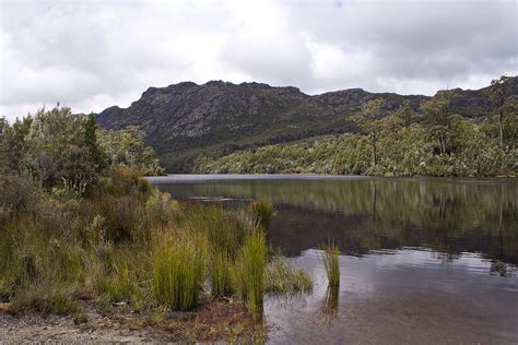Rosebery Map West Coast Tasmania Mapcarta