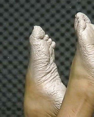 Bianca S Wet Wrinkled Feet Porn Pictures XXX Photos Sex Images 286378 PICTOA