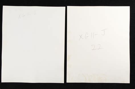 Lot BRUCE OF LOS ANGELES MALE NUDE PHOTOGRAPHS