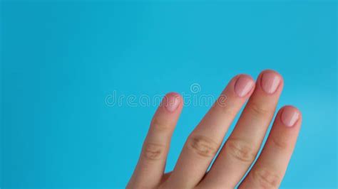 Stylish Nude Beige Female Nails On Blue Background Modern Trendy Stylish Beautiful Manicure