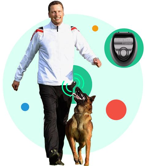 Active Dog Trainer The Best Positive Training For Your Dog