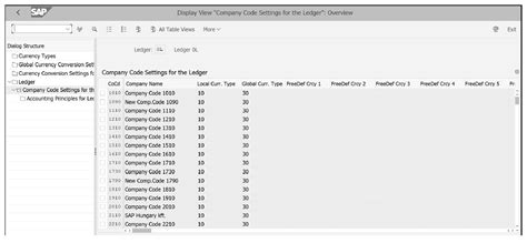 financial reporting structures  sap shana finance