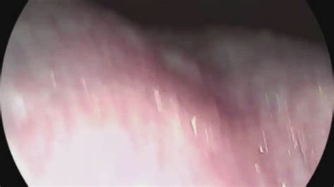 Tongue Fetish Porn Tube Video Clips Clips Sale