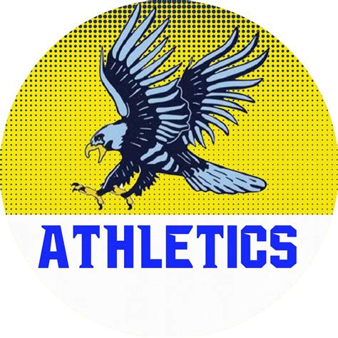 Hudson High School High School Sports Home Hudl